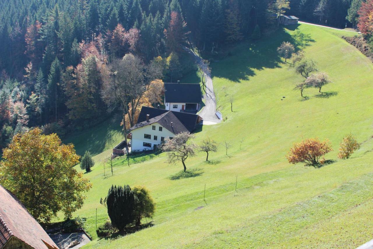 Appartamento Haus Laetsch Bad Peterstal-Griesbach Esterno foto